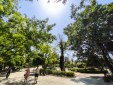 Καιρός: 35αρια και την Τετάρτη – Πού θα βρέξει
